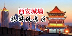 天天捅胖骚逼中国陕西-西安城墙旅游风景区