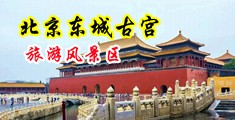 看看粗鸡巴日女长逼逼视频中国北京-东城古宫旅游风景区